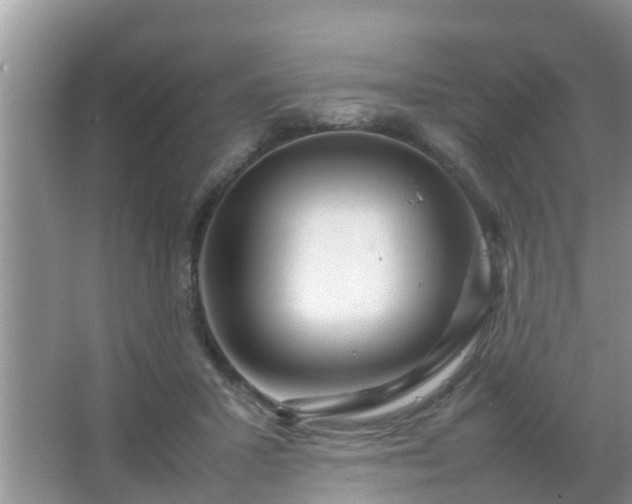 X0000067480407200604150021