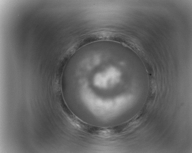 X0000067480411200604150021