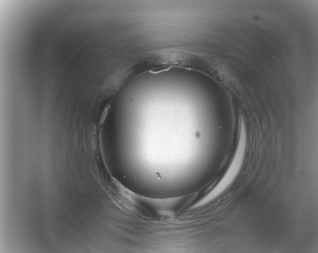 X0000067480413200604150021