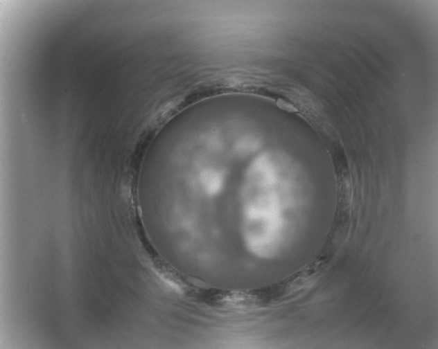 X0000067480415200604150021