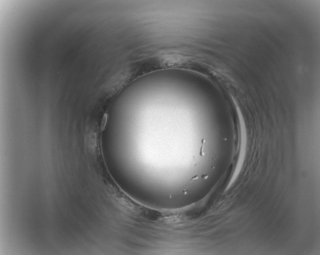 X0000067480417200604150021