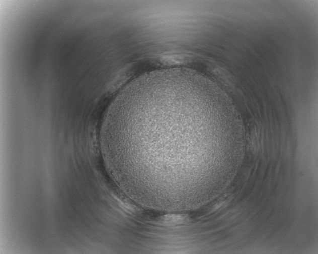 X0000067480418200604150021