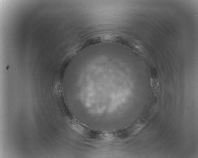 X0000067480419200604150021