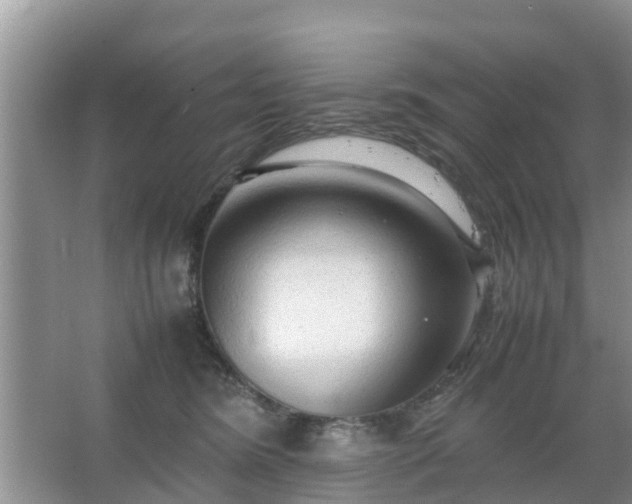 X0000067480420200604150021