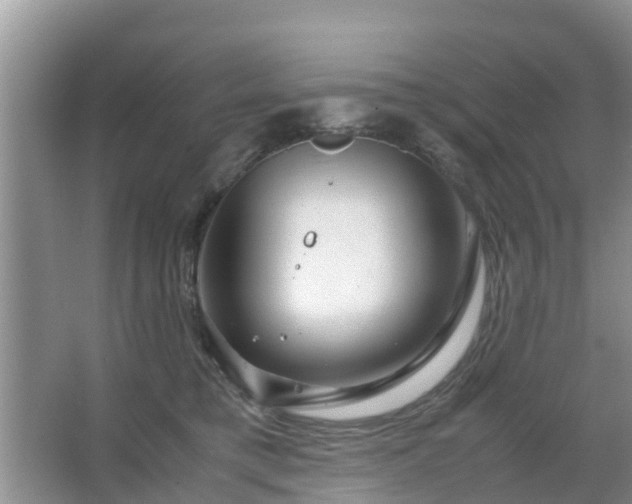 X0000067480421200604150021