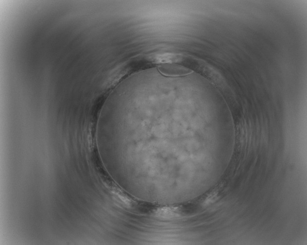 X0000067480422200604150021