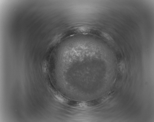 X0000067480423200604150021