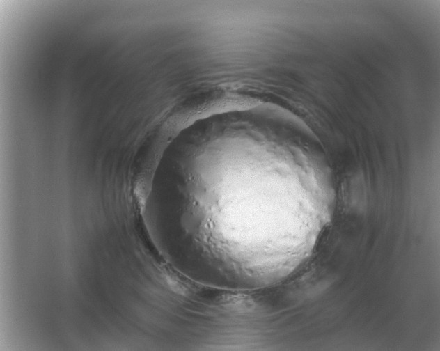 X0000067480424200604150021