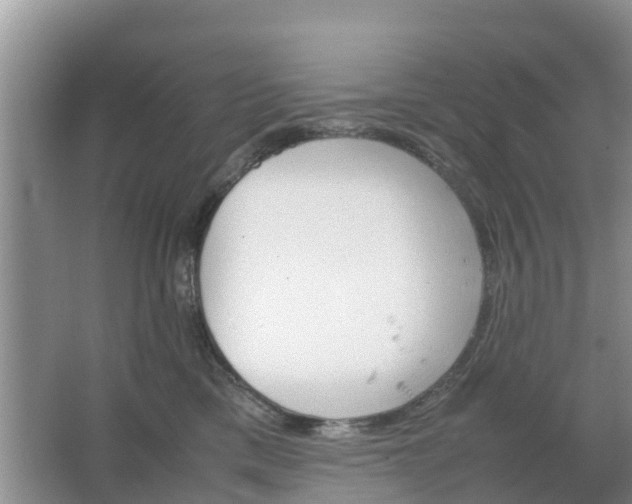 X0000067480425200604150021