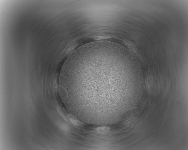 X0000067480426200604150021