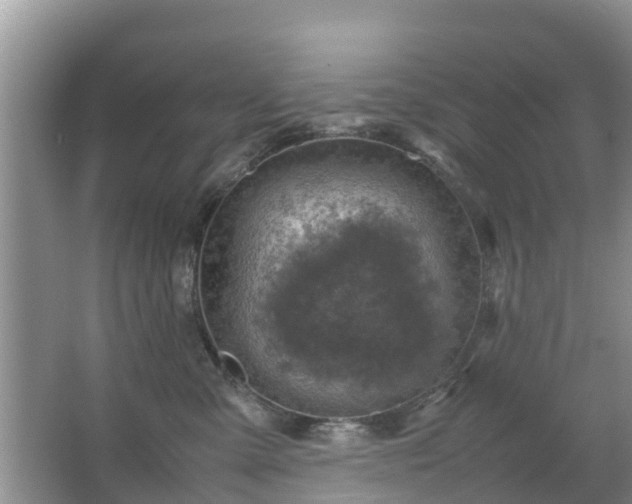 X0000067480427200604150021