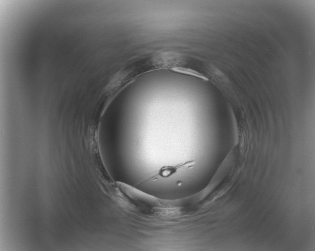 X0000067480429200604150021