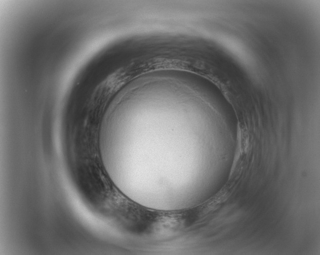 X0000067480431200604150021