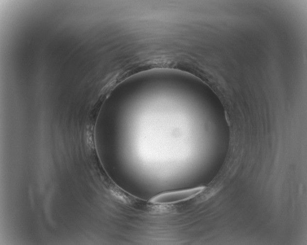 X0000067480432200604150021