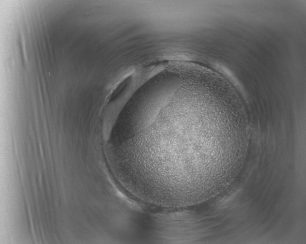 X0000067480433200604150020