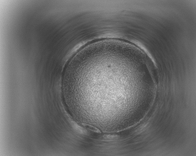 X0000067480437200604150020