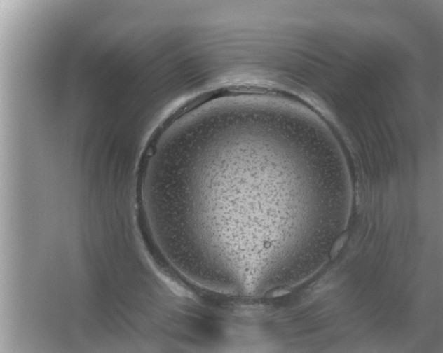 X0000067480438200604150020