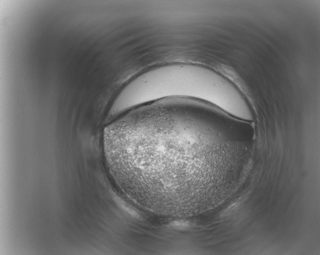 X0000067480441200604150020