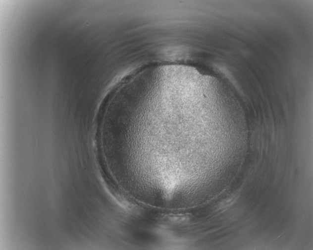 X0000067480443200604150020