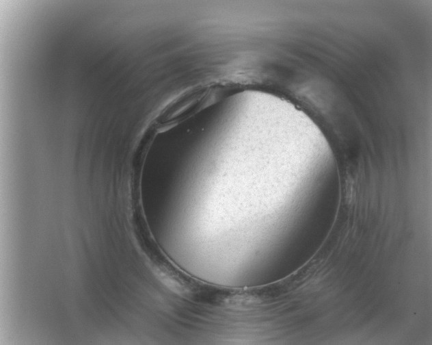 X0000067480444200604150020