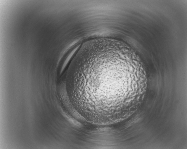 X0000067480446200604150020