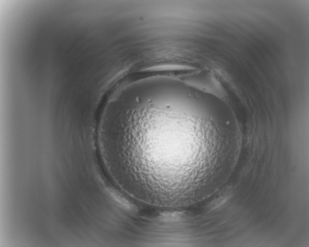 X0000067480450200604150020