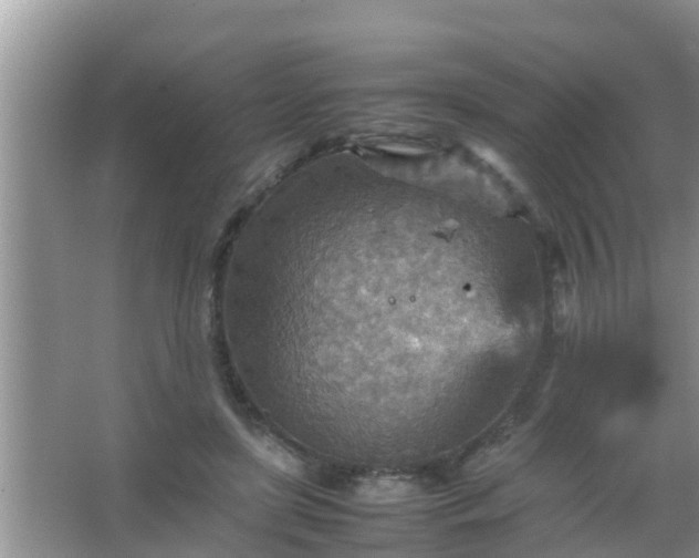 X0000067480451200604150020