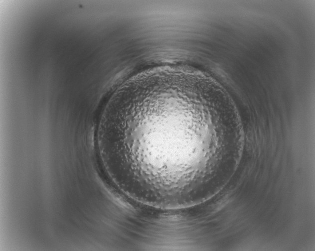 X0000067480454200604150020