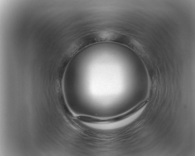 X0000067480459200604150020