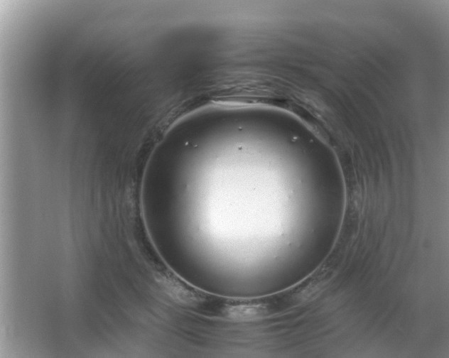 X0000067480461200604150020