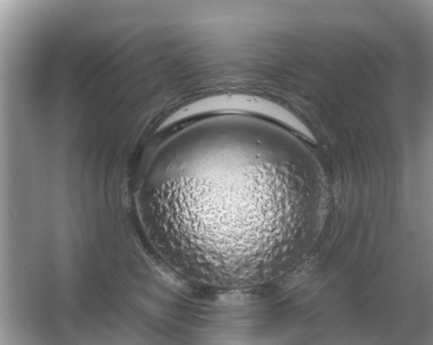 X0000067480470200604150021