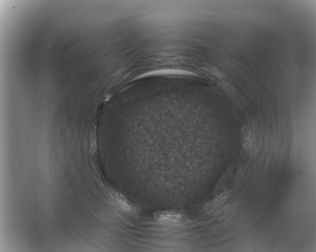 X0000067480471200604150021