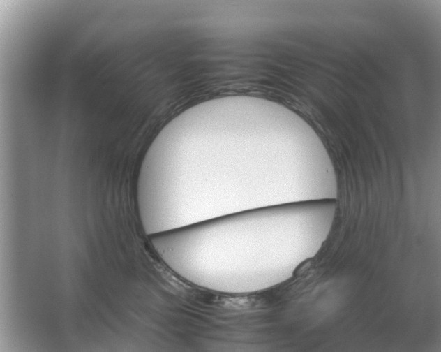 X0000067480473200604150021