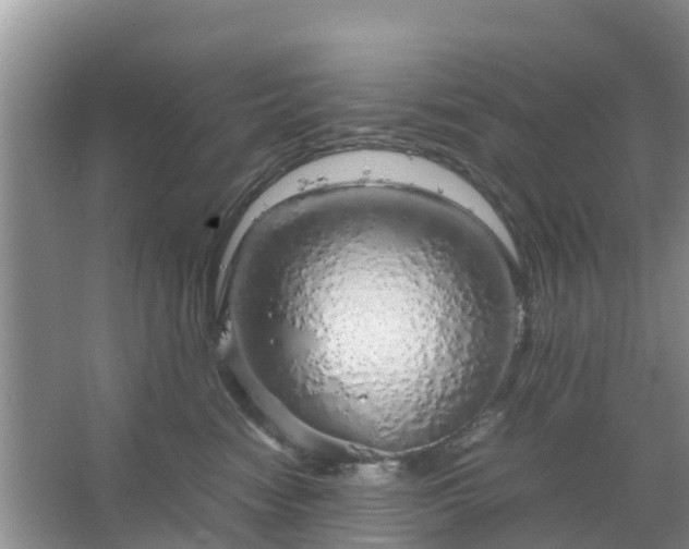 X0000067480474200604150021