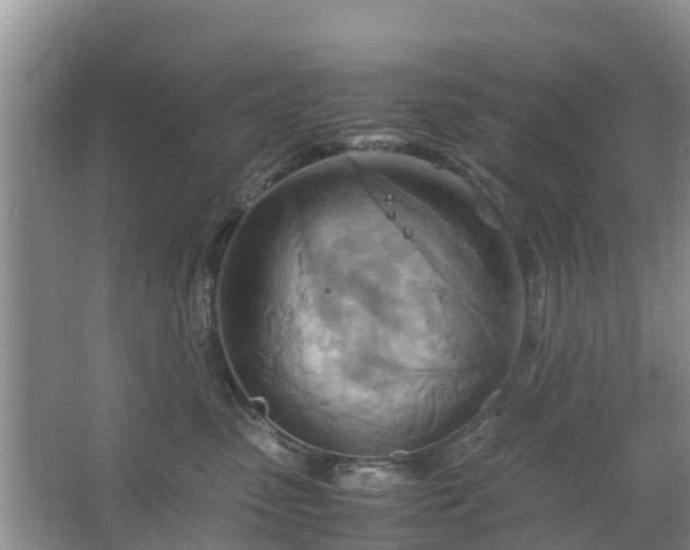 X0000067480475200604150021