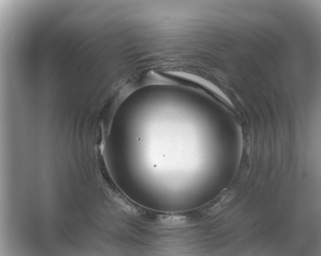 X0000067480476200604150021