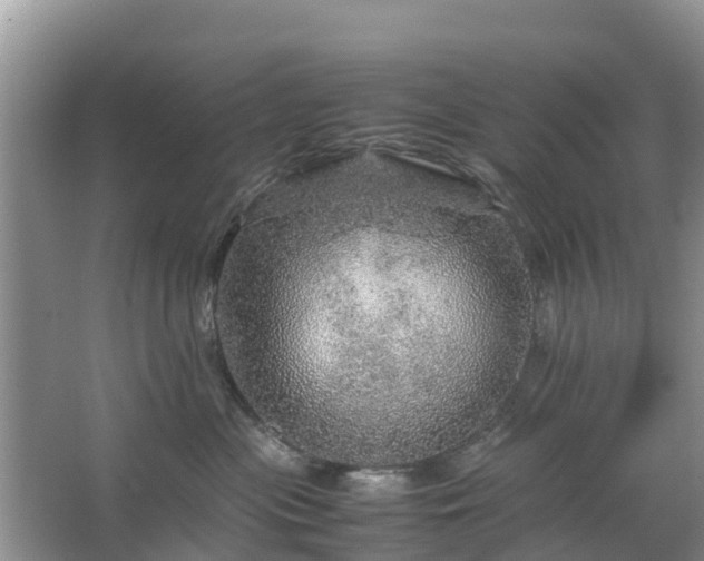 X0000067480477200604150021