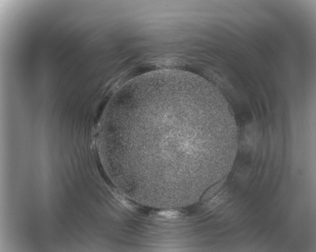 X0000067480478200604150021