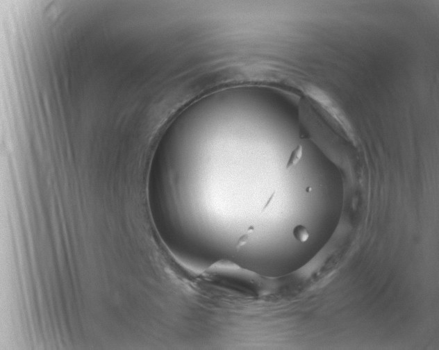 X0000067480481200604150020