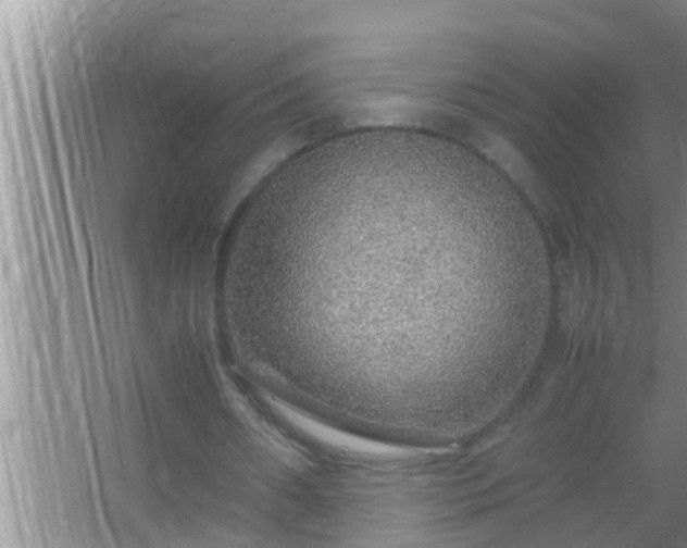 X0000067480482200604150020