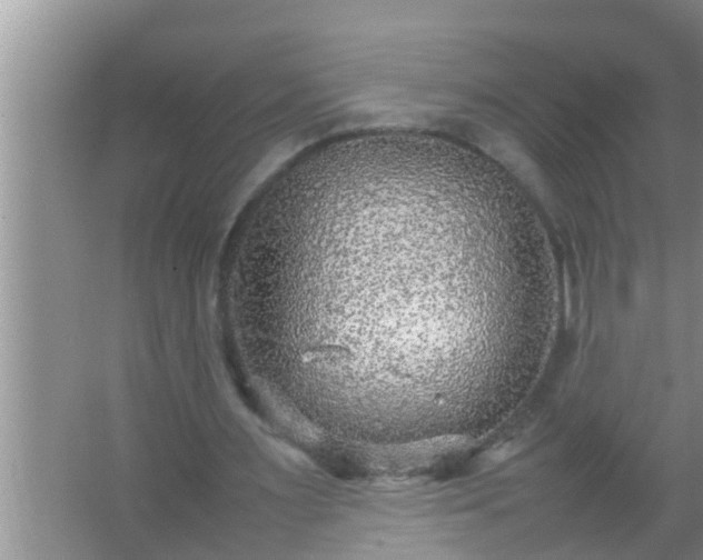 X0000067480483200604150020