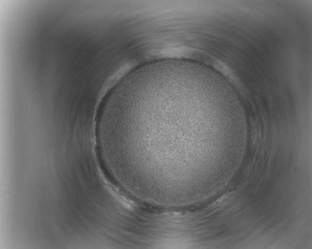 X0000067480486200604150020