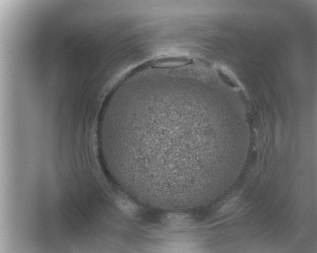 X0000067480487200604150020