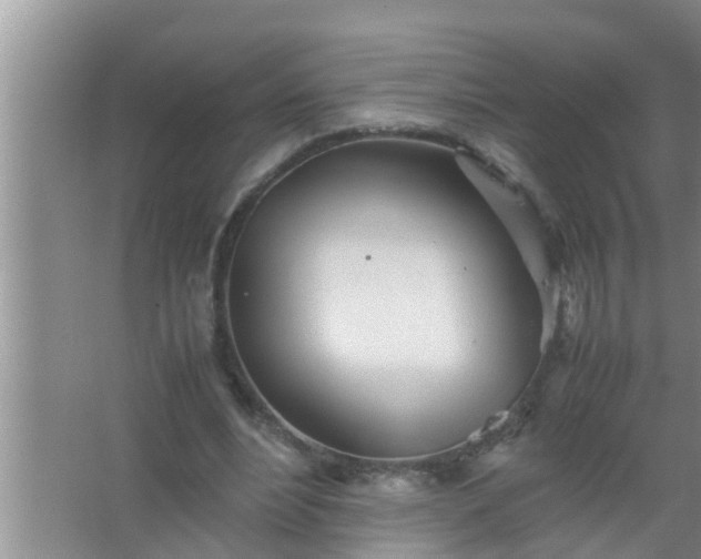 X0000067480488200604150020