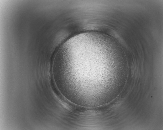 X0000067480490200604150020