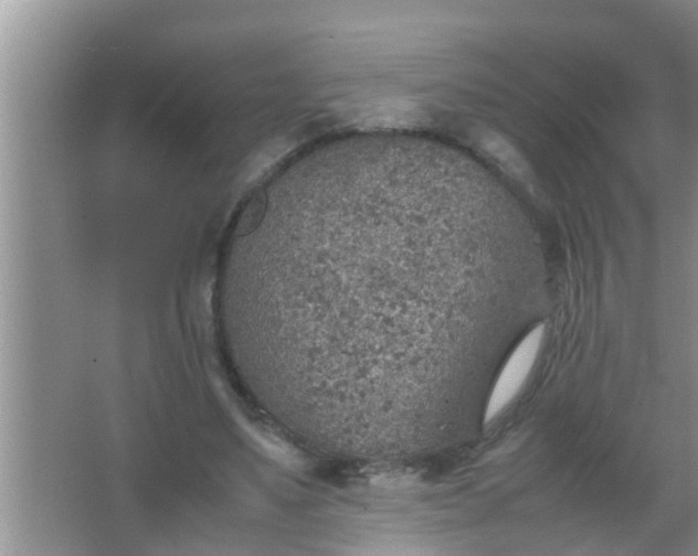 X0000067480491200604150020