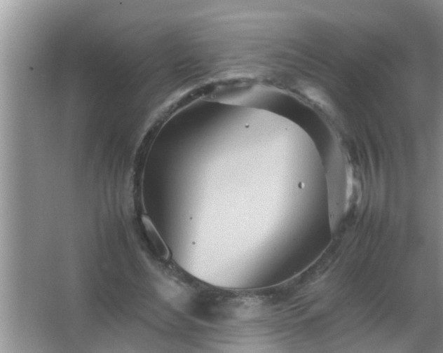 X0000067480492200604150020