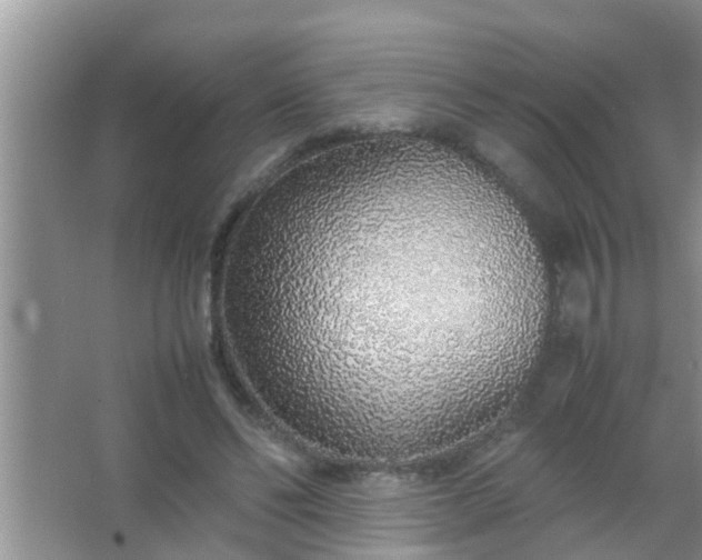 X0000067480494200604150020