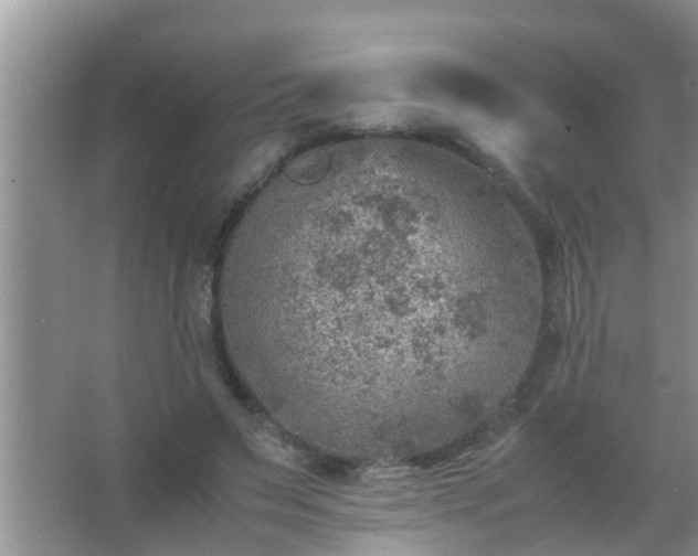 X0000067480495200604150020