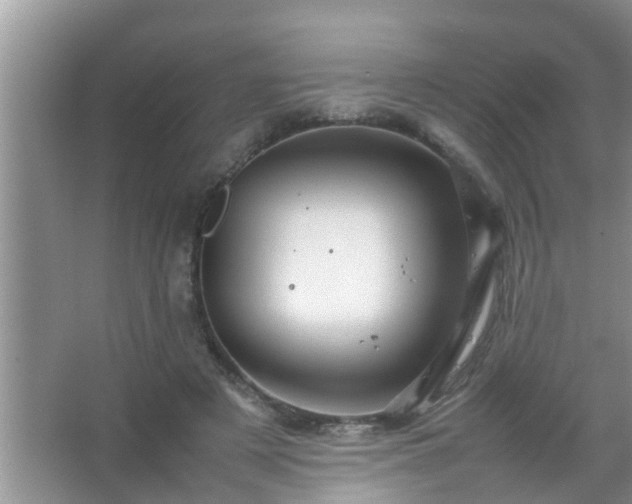 X0000067480497200604150020